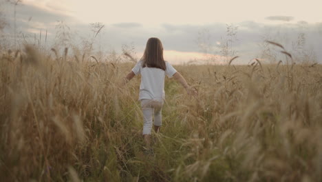 Slow-motion-the-camera-follows-a-little-girl-of-4-5-years-old-running-in-a-field-of-grain-golden-spikelets-at-sunset-happy-and-free.-Happy-childhood.-hair-develops-in-the-sunlight